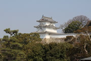 明石公園と桜