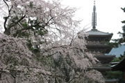 醍醐寺