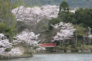 大覚寺