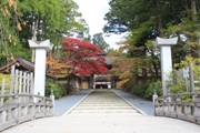 高野山の紅葉