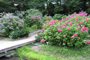 京都府立植物園