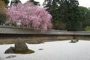 龍安寺