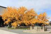 西本願寺