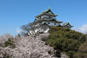 和歌山県