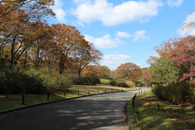 万博記念公園の紅葉