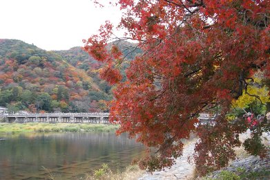 嵐山の紅葉