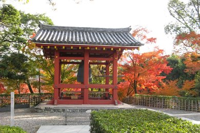 宇治平等院・宇治川の紅葉