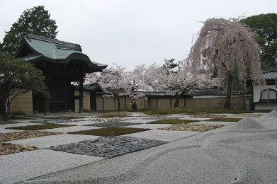 高台寺の紅葉