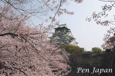 大阪城の桜