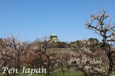 大阪城の梅林