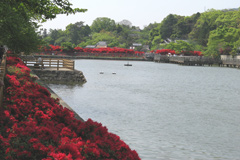 長岡天満宮