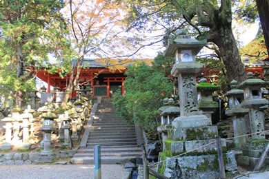 春日大社の紅葉