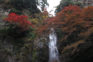 箕面市・箕面公園の紅葉
