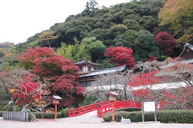箕面市・箕面公園の紅葉