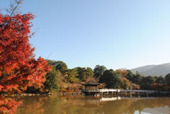 奈良公園