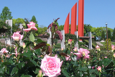 荒牧バラ公園の薔薇（バラ）