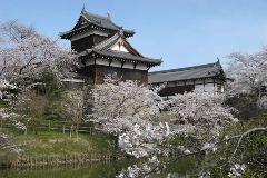 郡山城