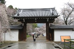 醍醐寺