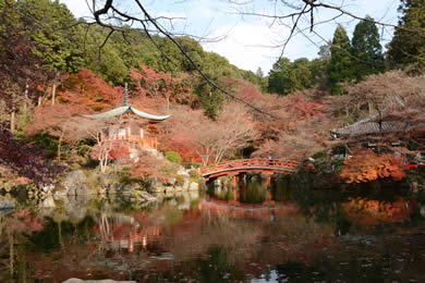 醍醐寺の紅葉