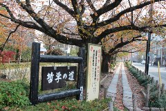 哲学の道