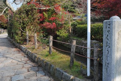 哲学の道の紅葉