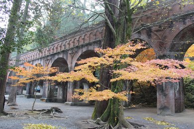 南禅寺の紅葉