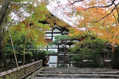 龍安寺の紅葉