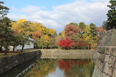二条城の紅葉