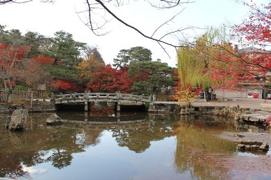 円山公園の紅葉