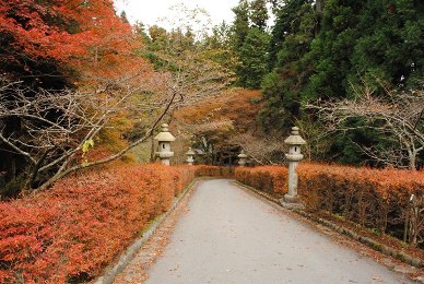 比叡山延暦寺の紅葉