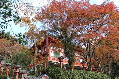 鞭馬寺の紅葉