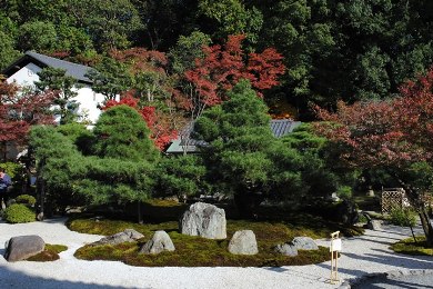 金戒光明寺の紅葉