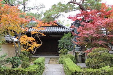 妙心寺・大法院・霊雲院の紅葉