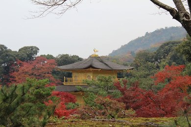 金閣寺（鹿苑寺)の紅葉