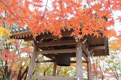 常寂光寺の紅葉