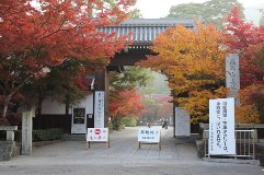 永観堂 禅林寺