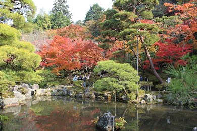 銀閣寺（慈照寺)の紅葉