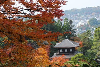 銀閣寺（慈照寺)の紅葉