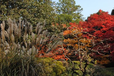 詩仙堂の紅葉