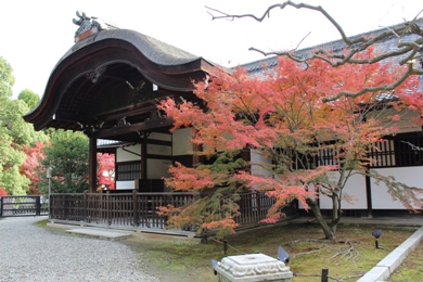 青蓮院門跡の紅葉