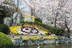 神戸市立王子動物園