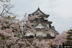彦根城