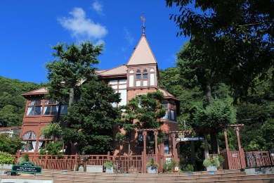 神戸市立王子動物園の桜