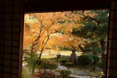 鹿王院の紅葉