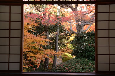 源光庵の紅葉