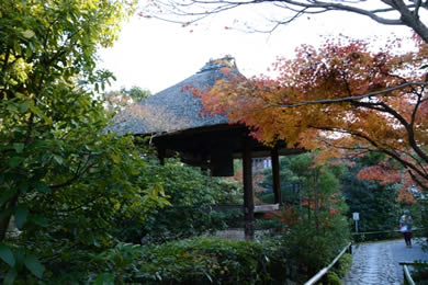 光悦寺の紅葉