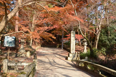 毘沙門堂の紅葉