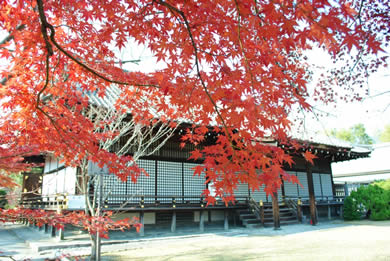 勧修寺の紅葉