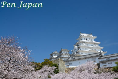 姫路城（白鷺城）の桜