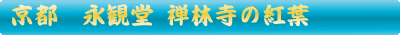 永観堂 禅林寺の紅葉